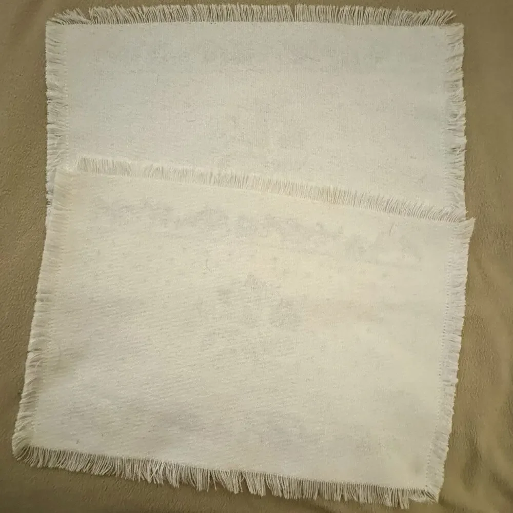 Set of 2 Vintage Pfaltzgraff Blue Floral Fringed Placemats 12x18 Cottage Core